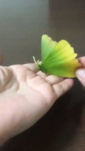 イチョウの葉で作った 蝶 が想像以上の完成度 落ち葉1枚で簡単にできる作り方が話題に ねとらぼ