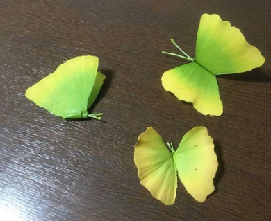 イチョウの葉で作った 蝶 が想像以上の完成度 落ち葉1枚で簡単にできる作り方が話題に ねとらぼ