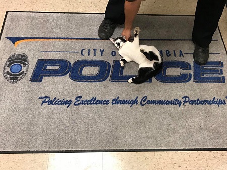 警察署猫