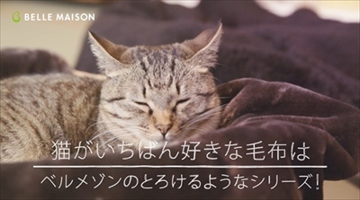 ふにゃふにゃとろける猫たちの動画を通販サイト ベルメゾンが公開 見ている人間までふにゃふにゃに ねとらぼ