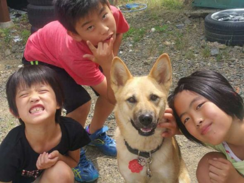 保護犬のわんこ プロジェクト 保護犬写真集 クラウドファンディング