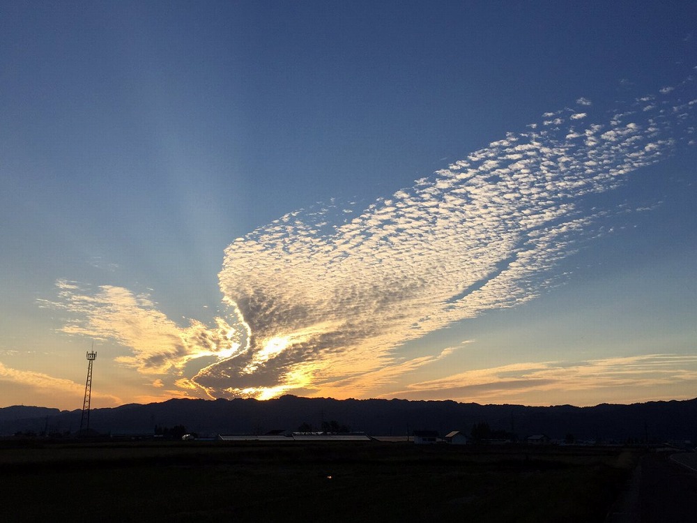 新潟県であまりにも 不死鳥 な雲が撮影され話題に ツーリング中に思わずバイクを停めて撮影 ねとらぼ