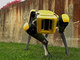 今度は子犬っぽくてちょっとかわいい　てくてく歩く4足歩行ロボット「SpotMini」に新型