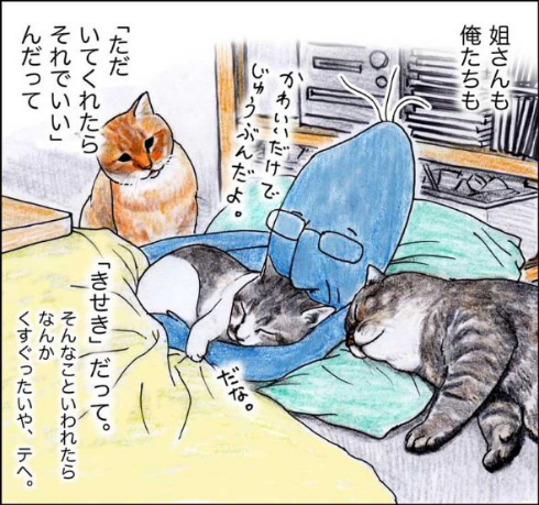 猫 おじいちゃん 姐さん きせき 漫画