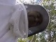 飛び回る蜂の大群　巨大なハチの巣を除去する動画が恐ろしい