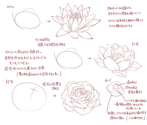 梅や桜 ボタンにバラ 花を描くコツをまとめた図説が参考になると