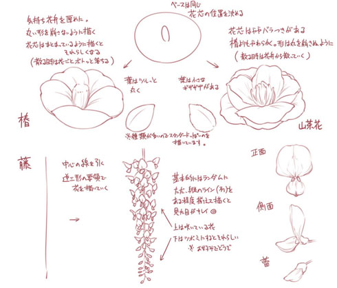 21年の最高 花 書き方 イラスト 無料の印刷可能なイラスト素材