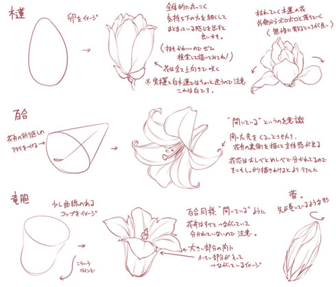 Japan Image 梅の花 イラスト 簡単