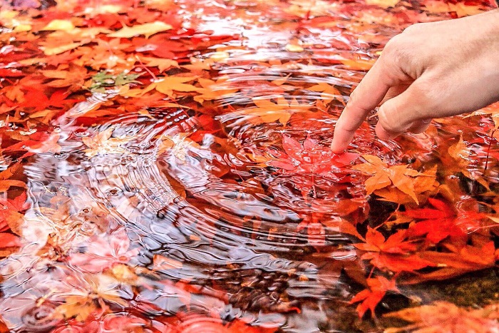 紅葉の風景写真を再現したレジンアクセサリーが超キレイ！ 水面の波紋