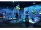 DMM、沖縄で水族館を開業へ　さまざまな海洋生物と最新映像技術を組み合わせリアル海洋体験を提供