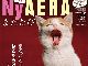 雑誌『AERA』が再びネコ化　グラビアも特集記事もネコちゃんだらけの1冊に