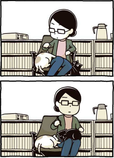 猫 椅子 膝に乗せる 2匹いける かわいい 漫画