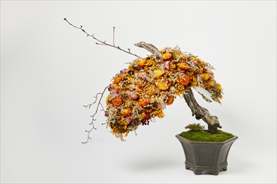 ART BONSAI