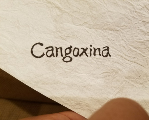 Cangoxina ǂ ؗ