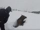 首まで雪にすっぽりと埋まったヘラジカ　通りすがりのスノーモービルチームのメンバーに無事救出される