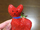 「昨日食べたイチゴがネコっぽかったから顔描いてみた」　猫にそっくりな“猫イチゴ”が衝撃のかわいさ