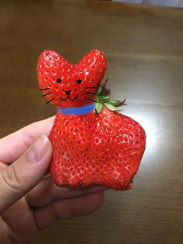 猫イチゴ