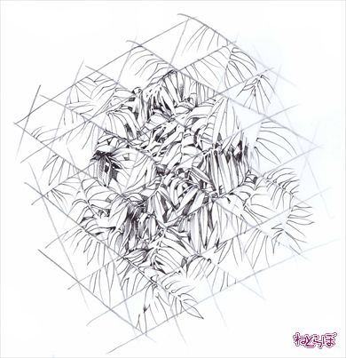 誰でも描けるリアル背景 群生する 葉 笹 の描き方 漫画家直伝イラストテクニック 2 1 2 ページ ねとらぼ