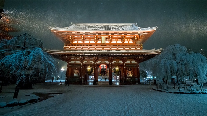 4年ぶり大雪で東京が雪景色 夜の浅草寺や朝霧に包まれた多摩川河川敷など Snsで話題の風景写真 ねとらぼ