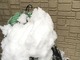 「SNOWで盛った（物理）」　雪かき中に撮影された自撮り写真にツッコまざるを得ない