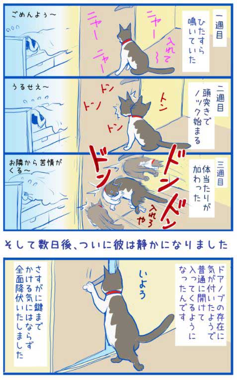 寝るときに乗っかってくる猫ちゃんを締め出したら 飼い主側が全面降伏せざるを得ない状況に ねとらぼ