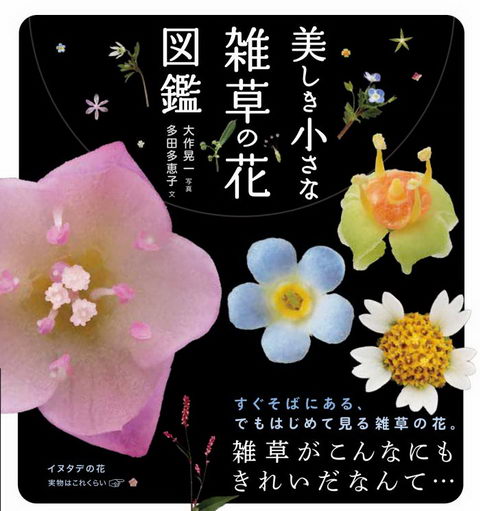 雑草図鑑 美しき小さな雑草の花図鑑 発売 道ばたの花々約100種類を超クローズアップして紹介 ねとらぼ