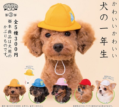 友達100人ほしいワン 犬用のかぶりもの かわいい かわいい 犬の一年生 登場 ねとらぼ