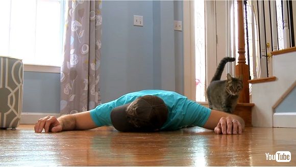 ネコの前で飼い主が死んだふりをしたらどうなるの 試したら意外な展開に ねとらぼ