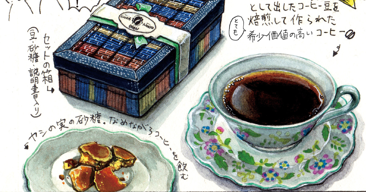 世界一高価で希少な 猫のフン 幻のコーヒー コピ ルワック を飲んでみた チョーヒカルのゲテモノデート ねとらぼ