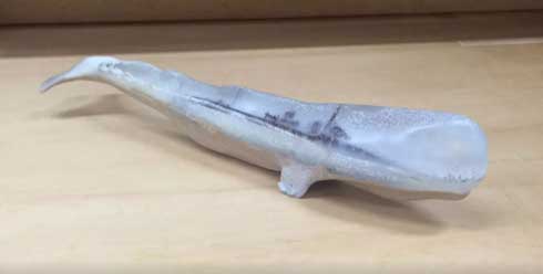 樹脂で作られたクジラに魅了される人が続出！　山田勇魚さんに世界観を伺った