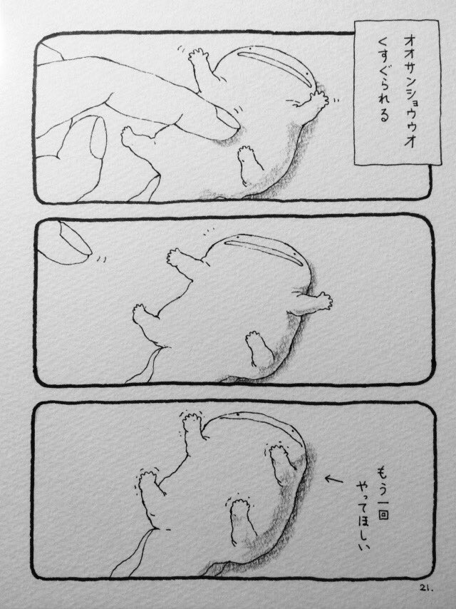 いやし効果抜群 オオサンショウウオ漫画 がたまらなくかわいい ねとらぼ