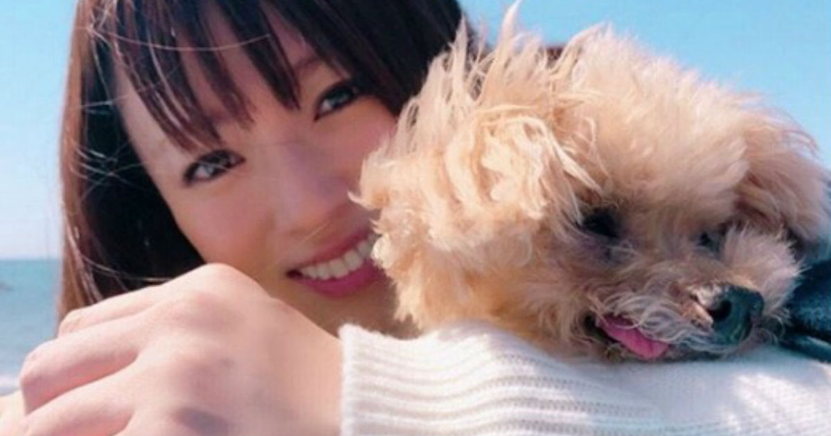 尋常じゃない可愛さ 深田恭子 愛犬を抱きしめるだけで癒やしの楽園を創造してしまう ねとらぼ