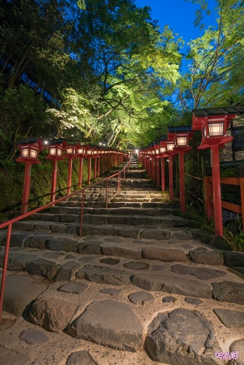 御朱印フリマ転売 職員や巫女に暴言や暴力に近い行為 浅草神社 三社祭特別御朱印の頒布見送りを発表 L Kikka 190504aksk003 Jpg ねとらぼ