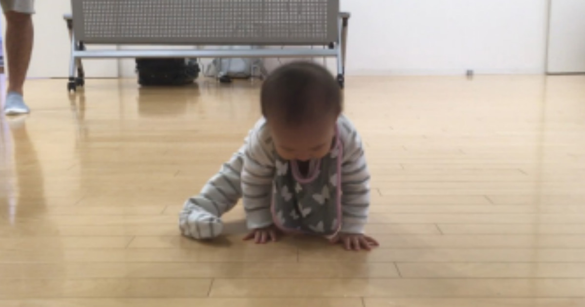 うちの娘のハイハイが変わってる 森渉と金田朋子の長女 個性的なハイハイで親を驚かせる ねとらぼ