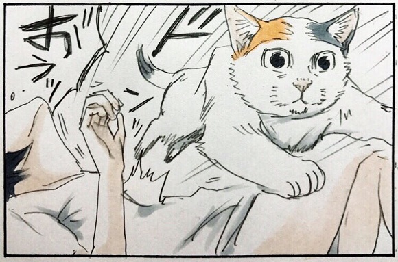 猫あるあるすぎる うちもやられた にゃんこの必殺コンボ技の漫画に猫飼いから共感が集まる ねとらぼ