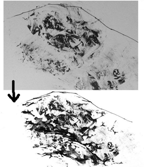 誰でも描けるリアル背景 岩 地面 の描き方 3 3 ねとらぼ