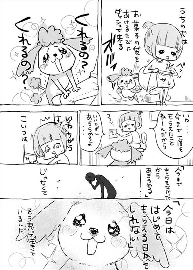 漫画 犬と猫どっちも飼ってると毎日たのしい が単行本化 プレゼントを贈ってみたら最高のリアクションだった ねとらぼ