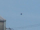 富士市上空に未確認飛行物体出現!?　Twitterを騒がせたUFO動画、果たして正体は……