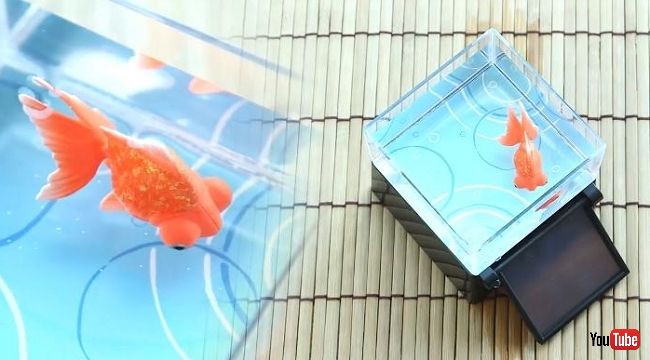 まるで本物の金魚みたい 太陽光で泳ぎ出す「カラクリ金魚」が日本の夏