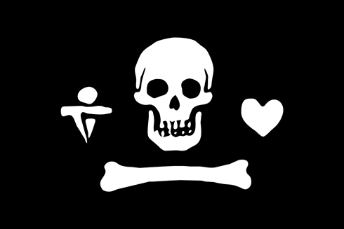 海賊船の旗 黒地に頭蓋骨 は間違い 意外と知らない 海賊旗の豊富なデザイン ねとらぼ