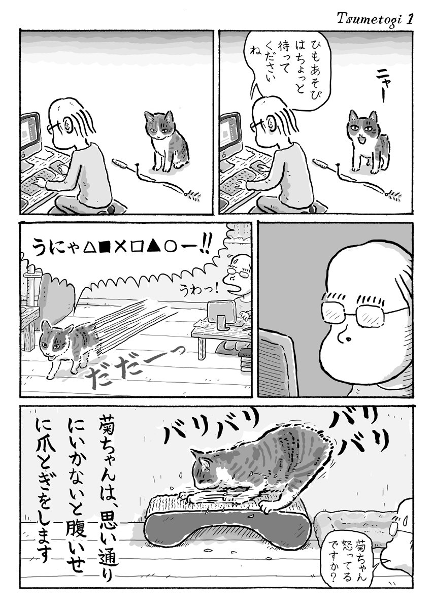 老夫婦と 変な行動 をする猫の共同生活 保護猫カフェから来た猫ちゃんのtwitter漫画が愛しさをくれる ねとらぼ