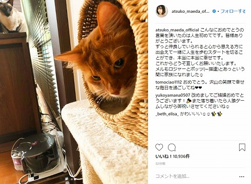 愛猫の相性もバッチリ 前田敦子 結婚後初のインスタ更新で感謝 本当に本当に幸せです ねとらぼ