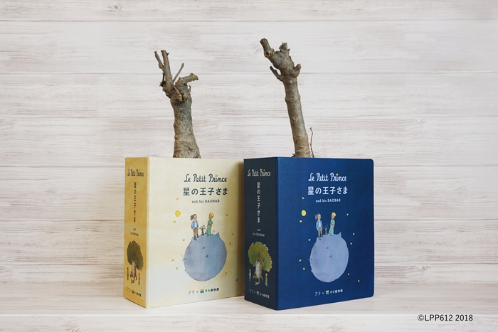 銀座ソニーパーク 星の王子さま バオバブの苗木の販売終了を発表 作品冒涜 どうして と大炎上 ねとらぼ