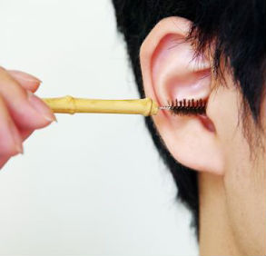 耳かき用のたわし爆誕 毛が放射状に伸び耳の中全体を刺激 ねとらぼ