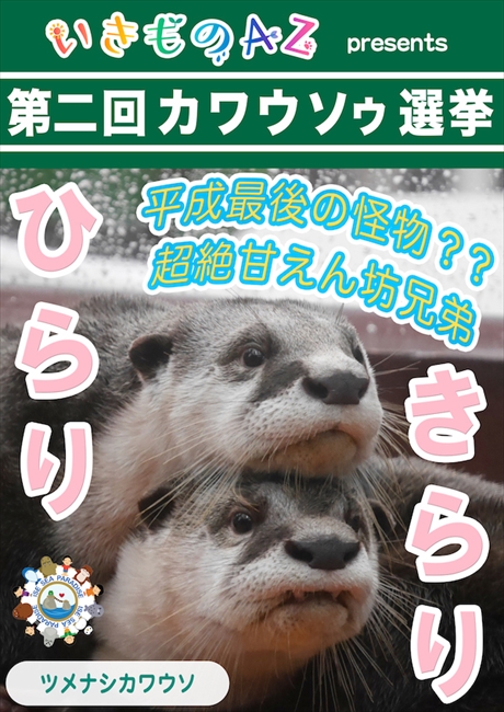 あなたのお気に入りはどのカワウソ 全国58組の頂点を決める 第二回カワウソゥ選挙 9月3日からスタート ねとらぼ