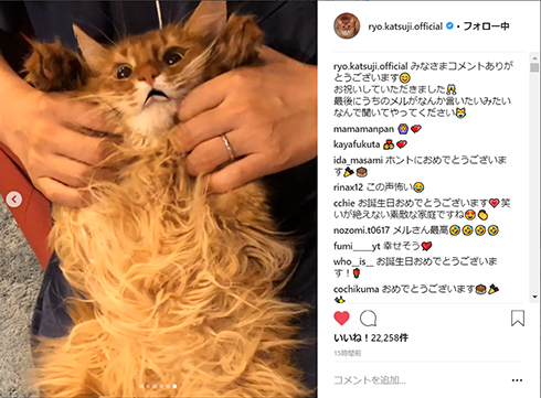 前田敦子 勝地涼 結婚 AKB48 Instagram 猫 メル