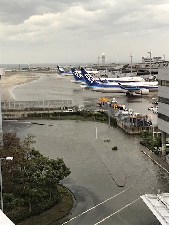 本当に助かりました 感謝しています 台風21号で孤立した関西国際空港 現場に居た当事者に利用客やスタッフのようすを聞いた 1 2 ページ ねとらぼ