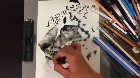 色鉛筆で描いた ユキヒョウ が美しい 16歳の高校生が命を吹き込んだ絵に 言葉にならない と感動の声 ねとらぼ