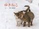 寒い中でも頼もしい　北海道で暮らす「ゆきねこ」「かべねこ」の写真展　札幌で開催