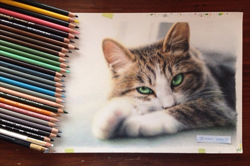色鉛筆で描いたネコさん